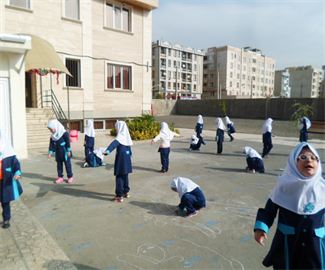 علوم سایه ها